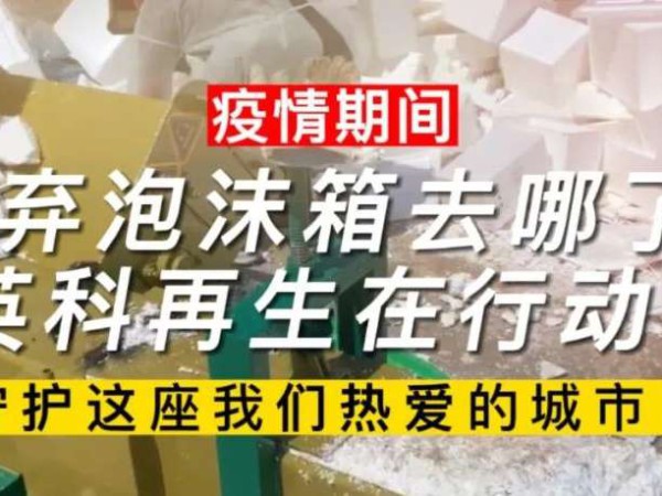 创世大发要闻｜疫情期间废弃泡沫箱去哪了？创世大发再生在行动！