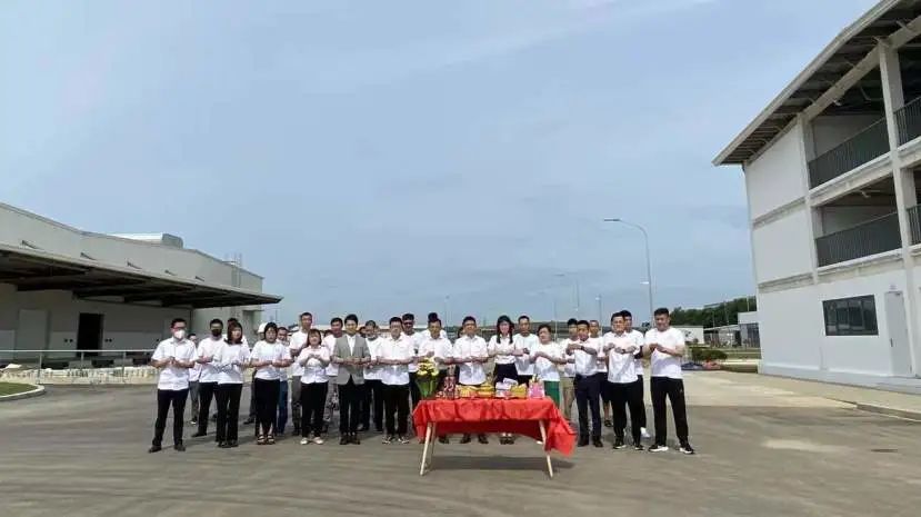 创世大发再生“海外”再扬帆